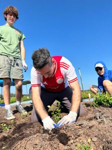 Gonzalo Casorzo planting blueberry seedlings