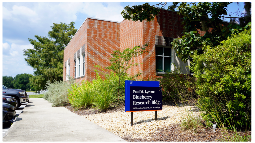 A brick building with a blue UF/IFAS sign in front reading “Paul M. Lyrene Blueberry Research Bldg. – IFAS Breeding, Research, and Technology.” The building is surrounded by landscaping with shrubs, grasses, and trees.