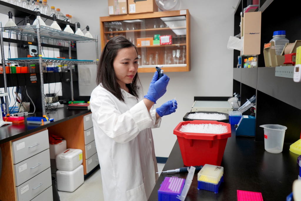 Woman in blue gloves and lab coat stand over the counter examining a pipette with an unknown liquid substance 