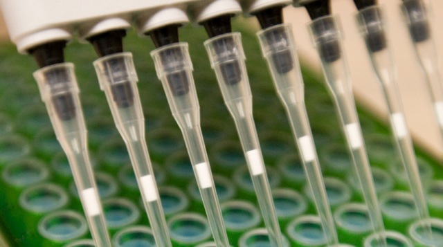 A eppendorf multi pipet tool. Laboratory equipment, science and research.