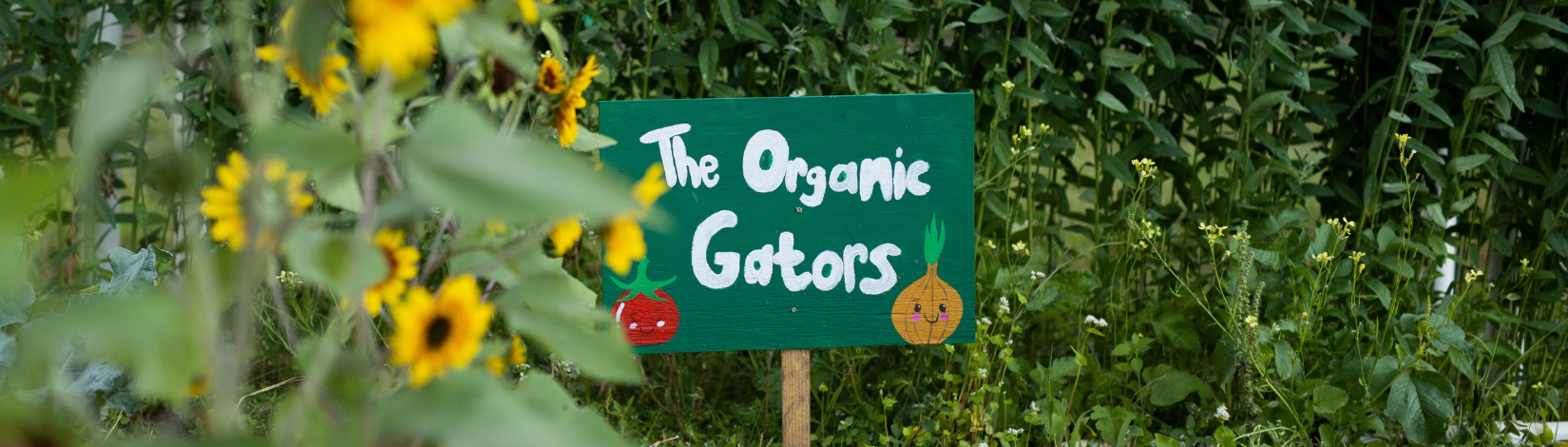 A green sign with the words "the Organic Gators" written in white. The sign is posted in a garden.