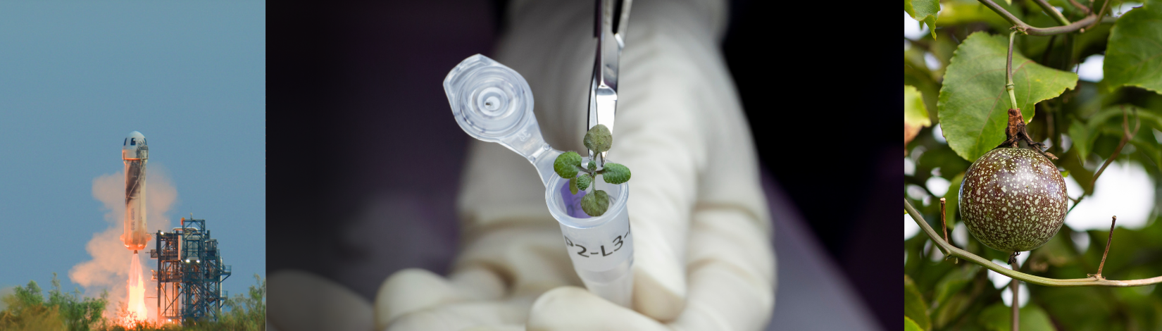 Alumni Spotlight: Dr. Garcia Uses Plant Science to Support Future Space Exploration