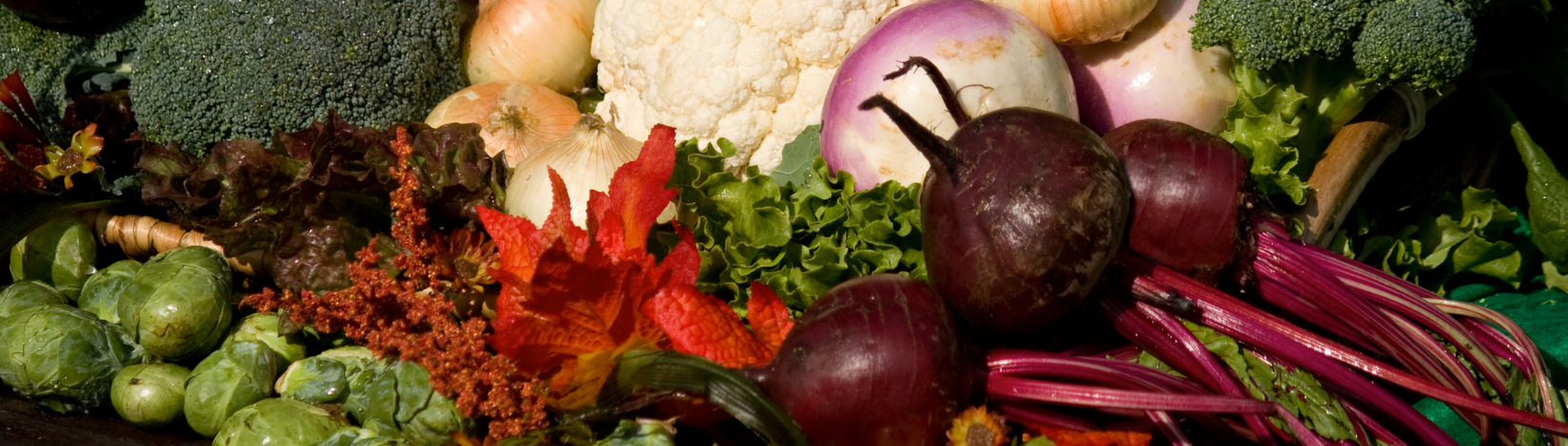 A bounty of vegetables from fall plantings, including leafy greens.