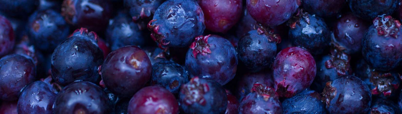 A close-up photo of blueberries