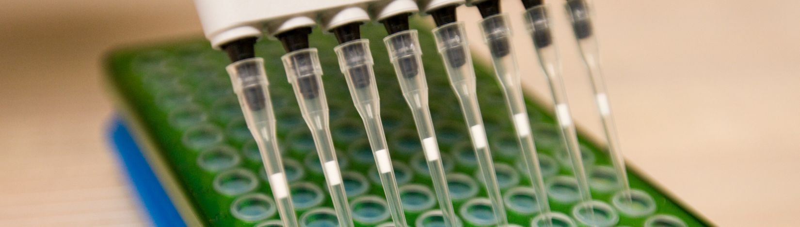 A eppendorf multi pipet tool. Laboratory equipment, science and research.