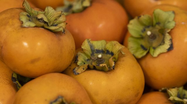Persimmons in a metal tub being presented for sale