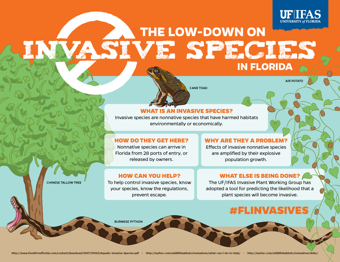 Invasive Species Awareness Visual Campaign - UF/IFAS Communications