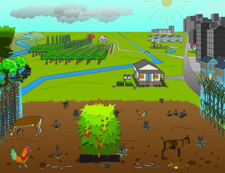 Agroecology Systems Diagram - Communications