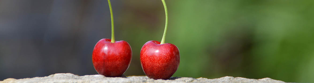 cherry-829540_1920-Image by der-christa from Pixabay