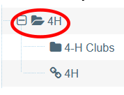 link section - 4-H section