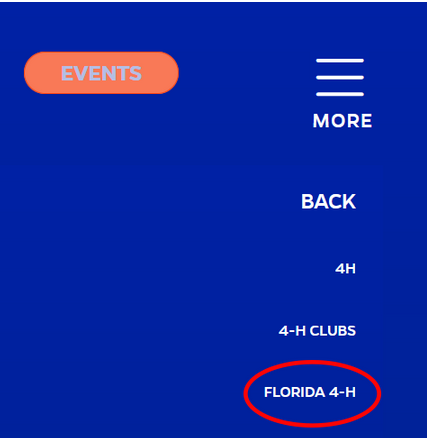 Hamburger flyout menu showing external link at bottom