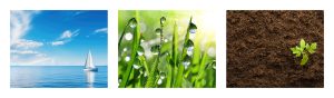 Three images in a row. Left, a landscape with a bright blue ocean with a similar color blue sky, with white clouds and a white sailboat in the middle ground. Center, green blades of grass covered in dew with sun shining over them. Right, the majority of the image is soil, with a small green plant growing off to the side.