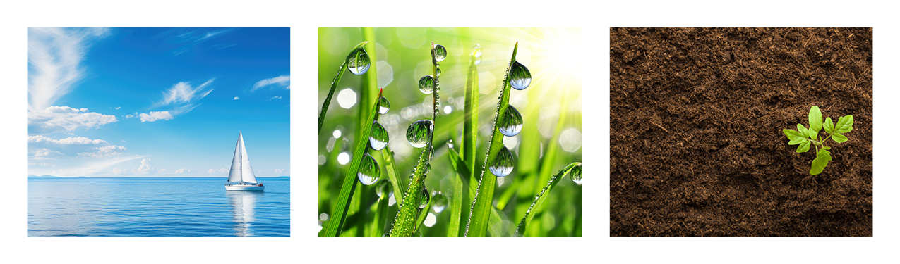 Choosing the Right Photos and Illustrations Series: Color & Mood ...