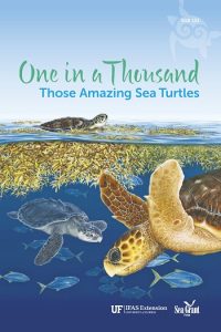 Cover book illustration shown sea turtle species swimming.