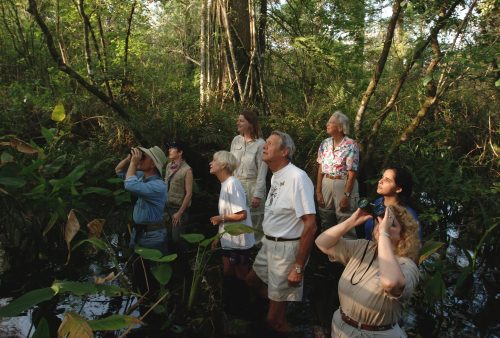 The Master Naturalist Program is one of the fastest-growing Extension programs in Florida. Trained volunteers in this and other Extension programs provide thousands of hours of valuable assistance each year, enhancing the effectiveness of Extension outreach programs. (UF/IFAS Photo by Eric Zamora)