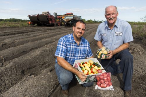 Farmers Ben Wells (left, in plaid) and Danny Johns (right) hold potatoes, tomatoes, and squash farmed in Hastings, Florida as part of an IFAS-sponsored Food Hub. Photo taken on 06/03/15.