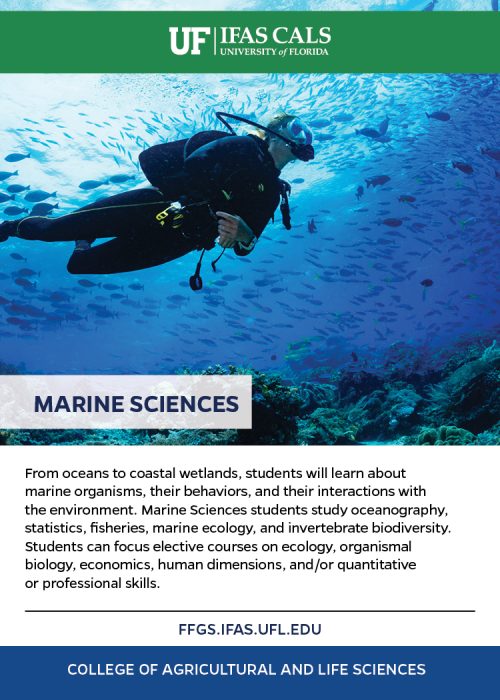 A photo of a scuba diver under water sits as the main image on a Marine Scientist major informational card.