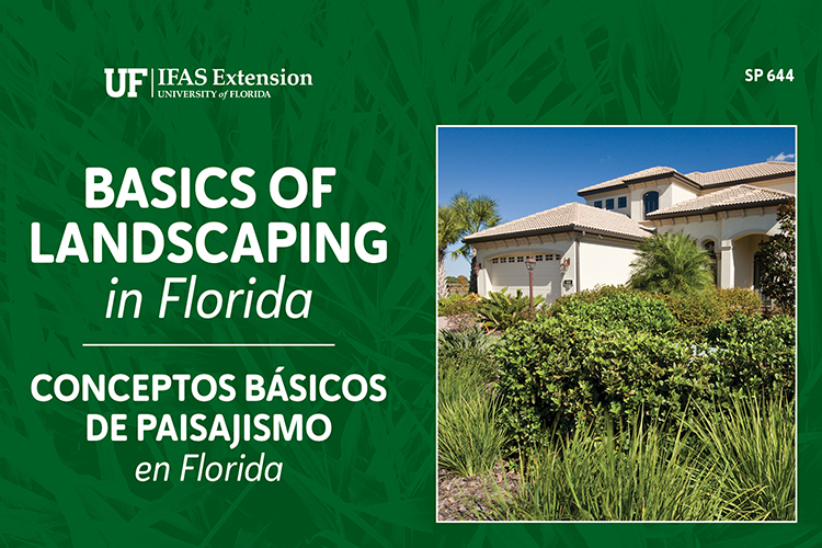 Basics of Landscaping in Florida Cover page