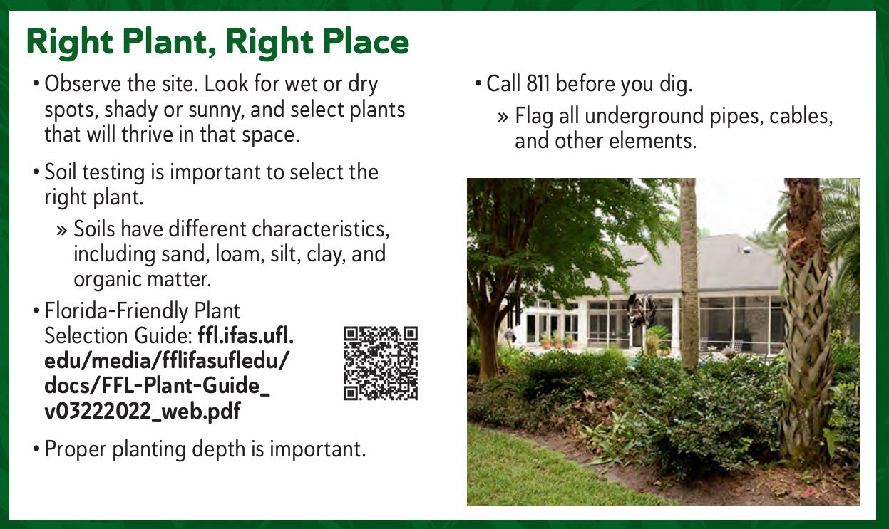 SP644 - Right Plant Right Place