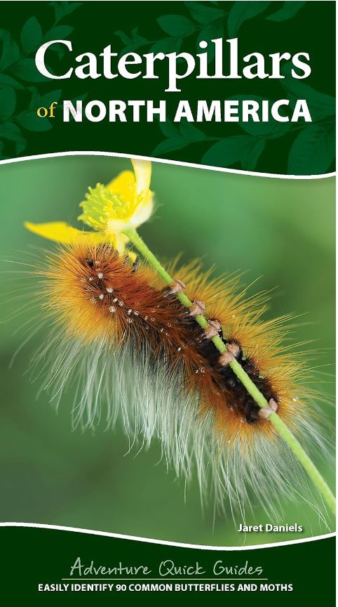 Caterpillars of North America cover page showing caterpillar eating from a leaf