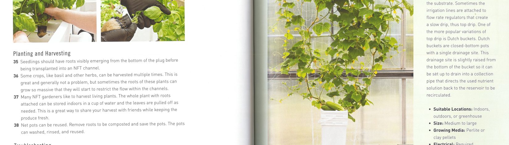 DIY Hydroponic Gardens 3