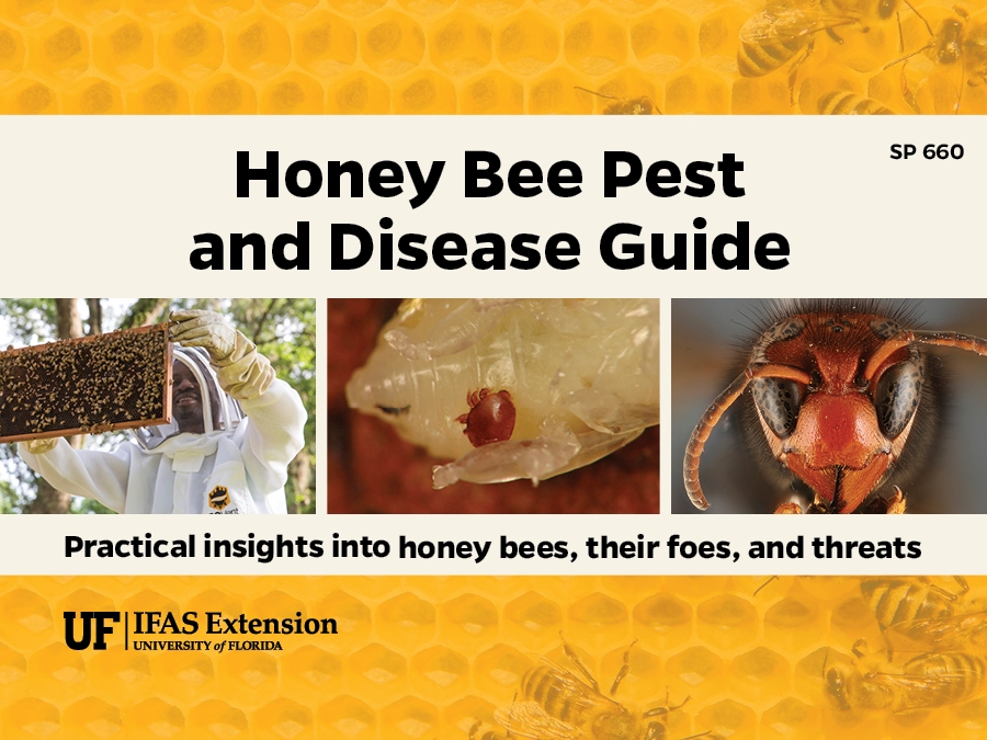 Image of the front cover of the Honey Bee Pest and Disease Guide