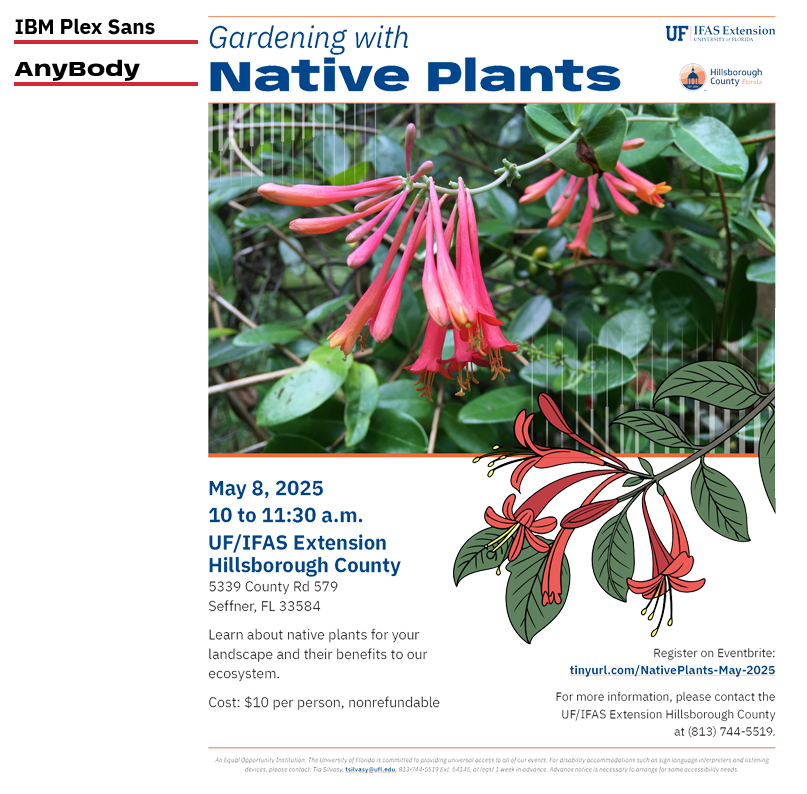 An example flyer highlighting branding fonts.