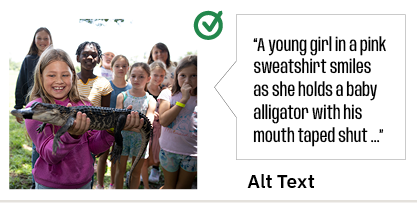 An example of alt text sits next to the image its describing. "A young girl in a pink sweatshirt smiles as she holds a baby alligator with his mouth taped shut."