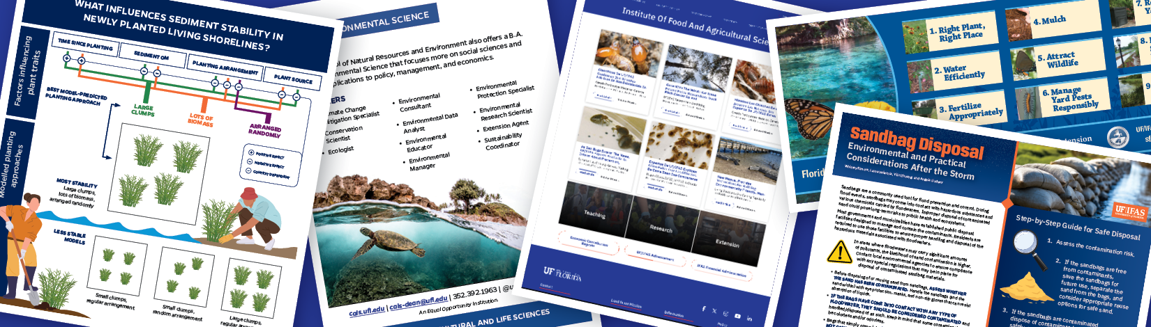 Examples of different documents that need ADA remediation, including flyers, infographics, and webpages.