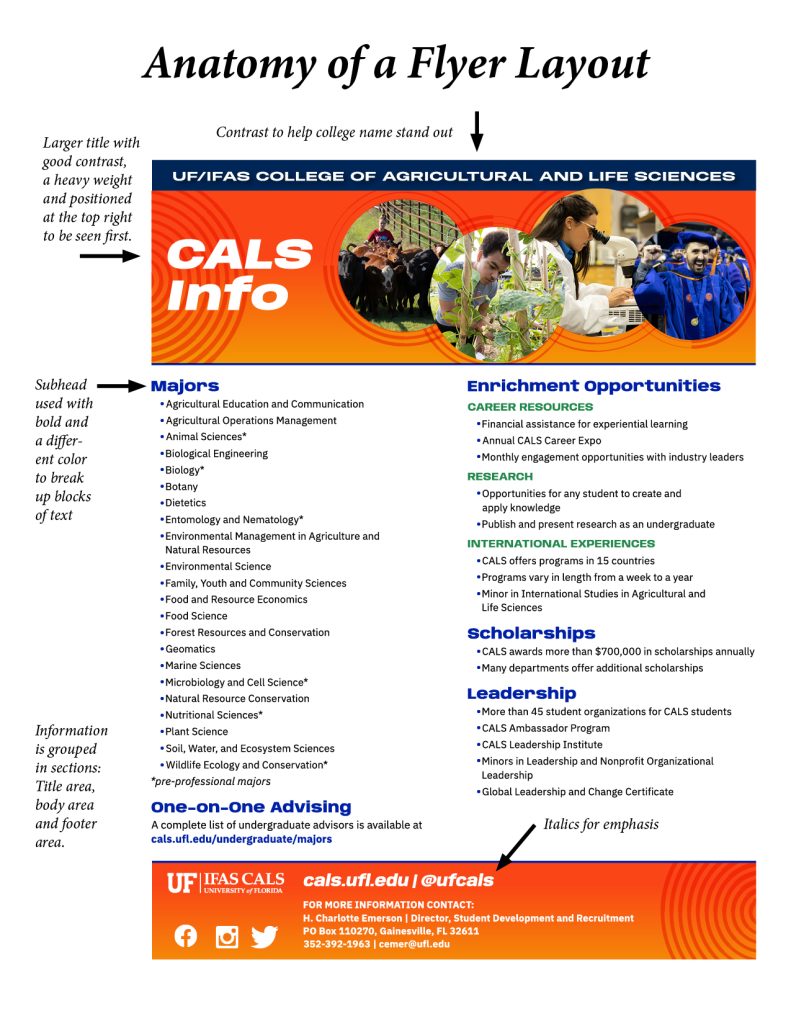 The image is a detailed flyer layout titled "Anatomy of a Flyer Layout." At the top, there is a larger bolded title with high contrast to make the text "UF/IFAS College of Agricultural and Life Sciences" stand out. Underneath, aligned to the left in large bold text, is "CALS Info" in white against an orange gradient background with circular images of students and animals, like cows and a person using lab equipment. Below this, the flyer is separated into two main columns. The left column lists majors available, using a blue subhead to break up the text, which is in a list format and includes various fields such as Biological Engineering and Food Science. The right column outlines Enrichment Opportunities, such as Career Resources, Research, International Experiences, Scholarships, and Leadership. Each category uses headings in bold and colored text. At the bottom are contact details within an orange block, including a website and contact information. Social media icons are adjacent, highlighting online resources.
