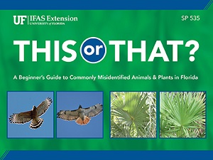 Cover page of the ID deck This or That?