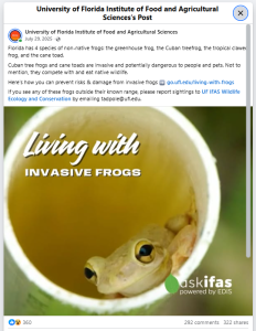 screenshot of a UF/IFAS facebook post, with text description including links to the publication, a call to action, and an image of a Cuban treefrog reading "Living with invasive frogs" and branded "askifas: powered by EDIS"