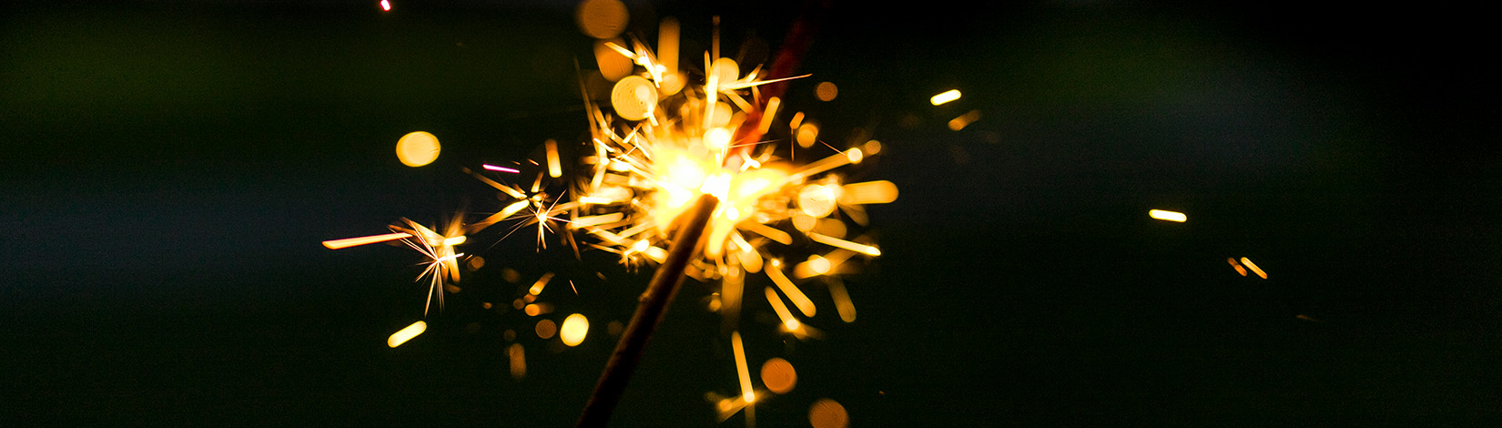 Sparkler firework burning. UF/IFAS Photo by Cristina Carrizosa.