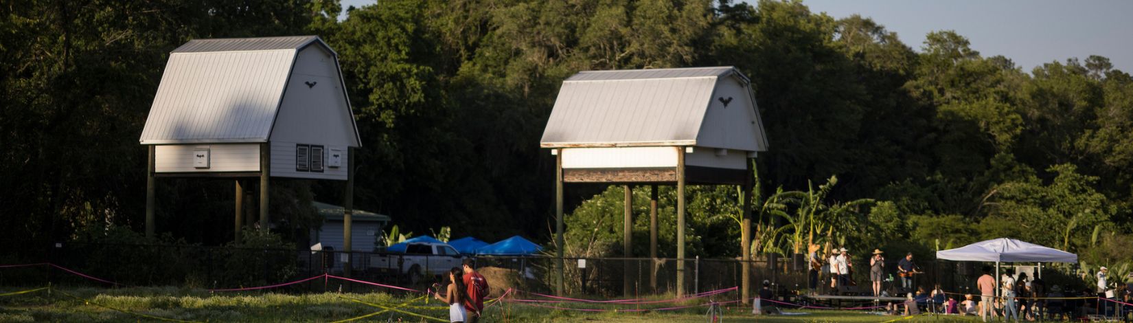 Bat houses at the Spring Festival.