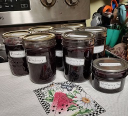 half-pint jars of blueberry jam, labeled and dated after canning