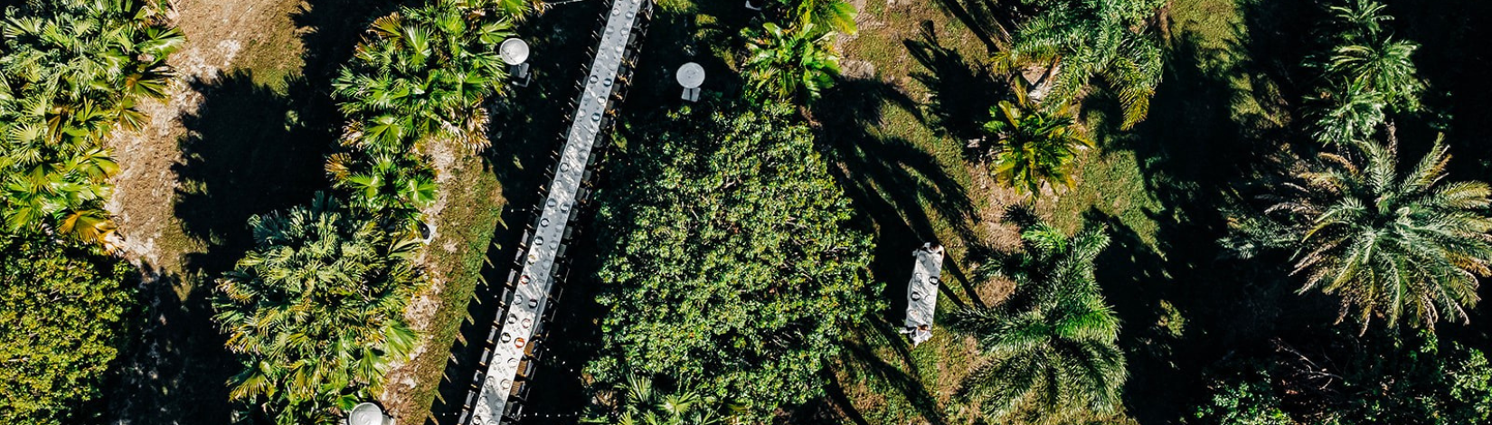 Aerial view of farm with palm trees, lychee trees, and long dinner table and chairs