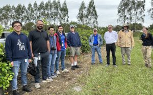 Dr. Ronald Cave, UF/IFAS-IRREC Director, (middle, blue shirt), and members of the UF/IFAS-CREC citrus research team, visit the IRREC Millennium Block Field Day