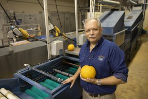 Dr. Mark Ritenour in the IRREC Postharvest Facility