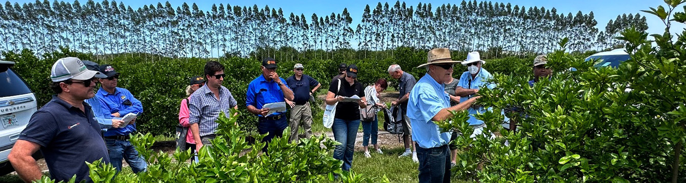 Florida Citrus Growers Invited To Tour Grove Of New Citrus Varieties