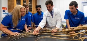 Professor examines roots with students 