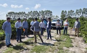 Brazilian citrus industry stakeholders tour the UF/IFAS IRREC Millennium Block 