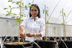 Dr. Sandra Guzmán inside an engineering greenhouse 