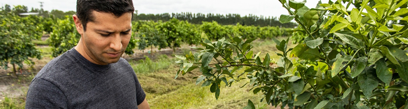 Martin Zapien in the UF/IFAS Millennium Block