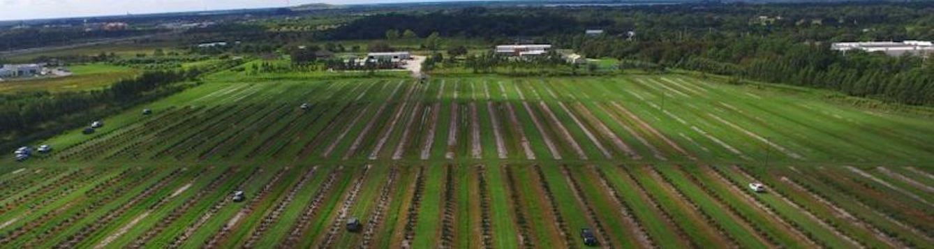 UF/IFAS-IRREC Millennium Block