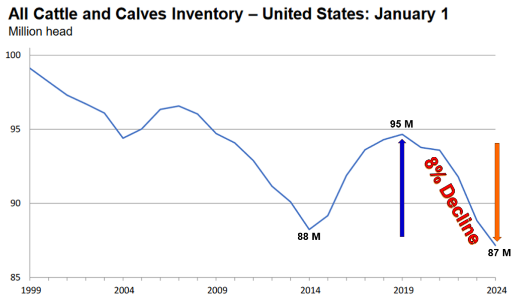 January 2024 US Cattle Inventory Down 2 UF IFAS Extension Jackson County   1999 2024 US All Cattle Inventory Chart 1024x601 