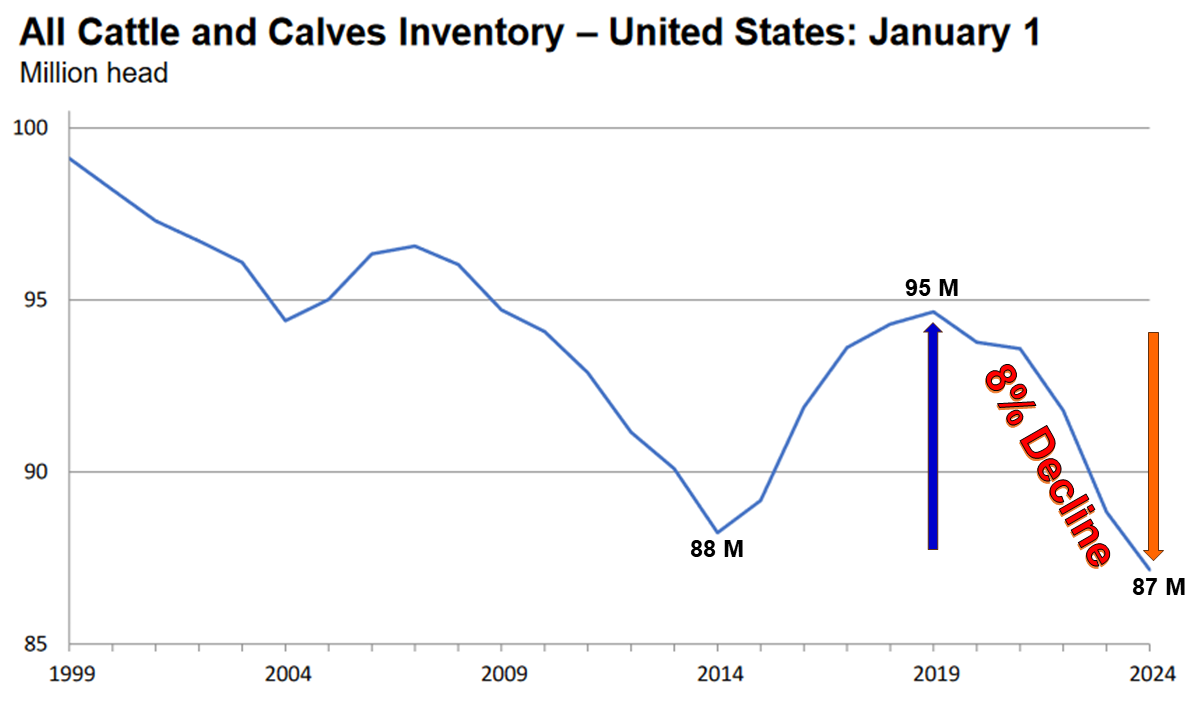 1999 2024 US All Cattle Inventory Chart 