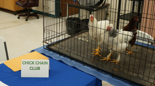 Jackson County 4-H Chick Chain Club