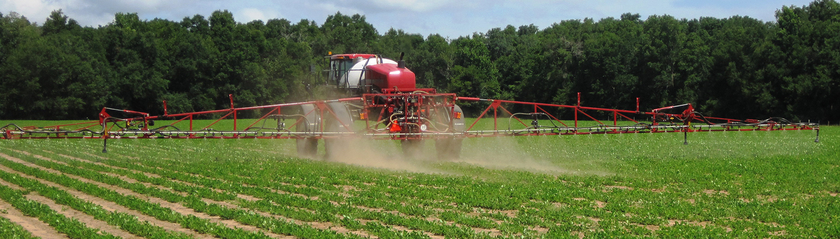 self-propelled crop sprayer applying pesticide on peanuts
