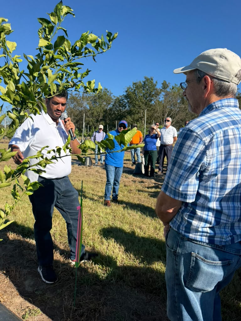 Dr. Muhammad Shahid discussing the new blood orange and mandarin citrus variety block. Photo Credit: Nazneen Qureshi, UF/IFAS. 