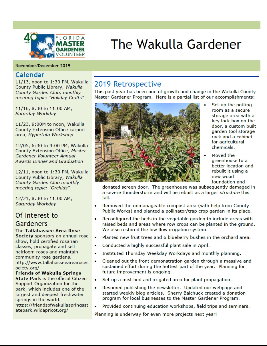 NovDec Newsletter 2019 p1